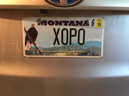 XOPO-M